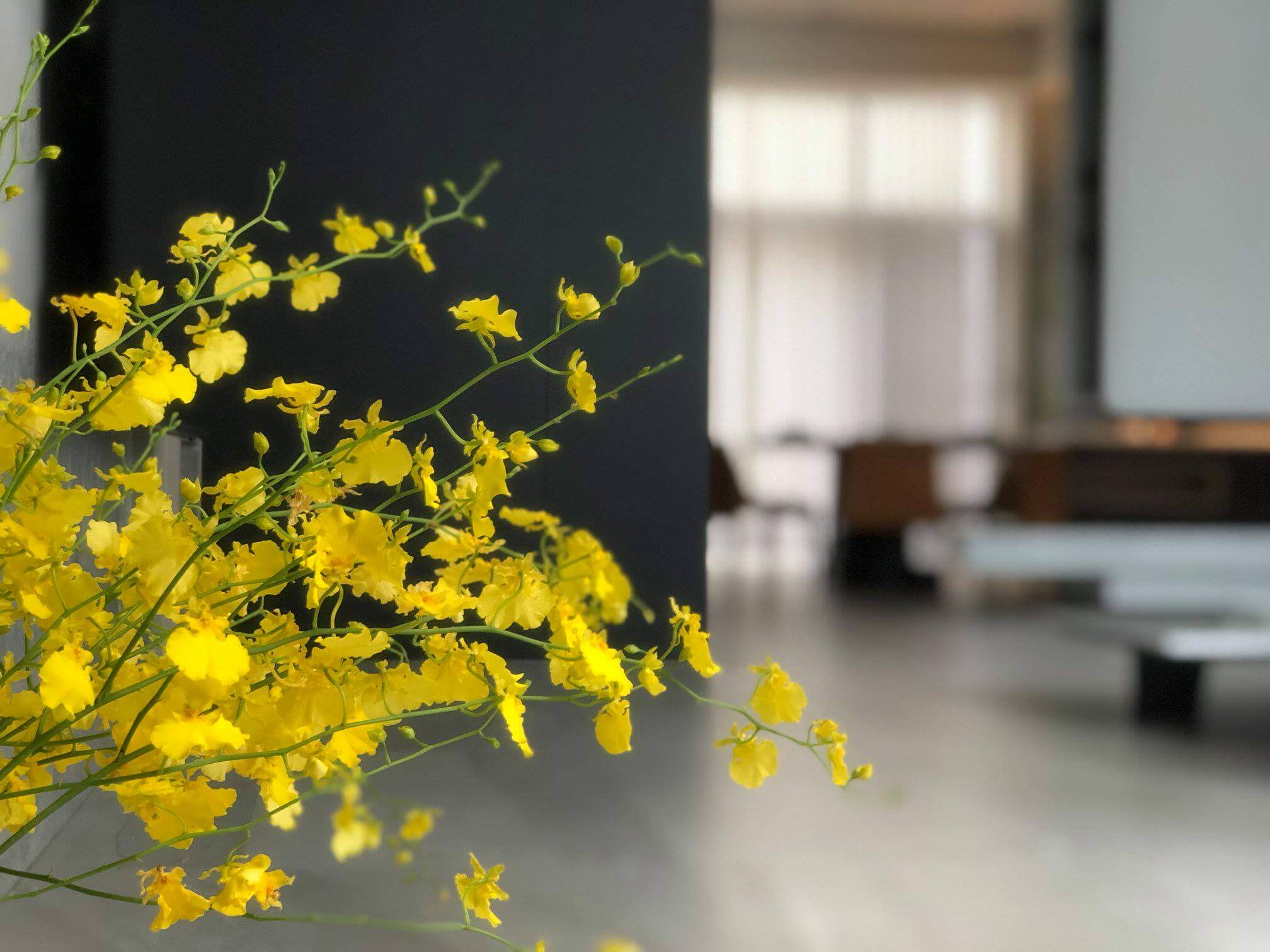 L&T Design 長禾設計
