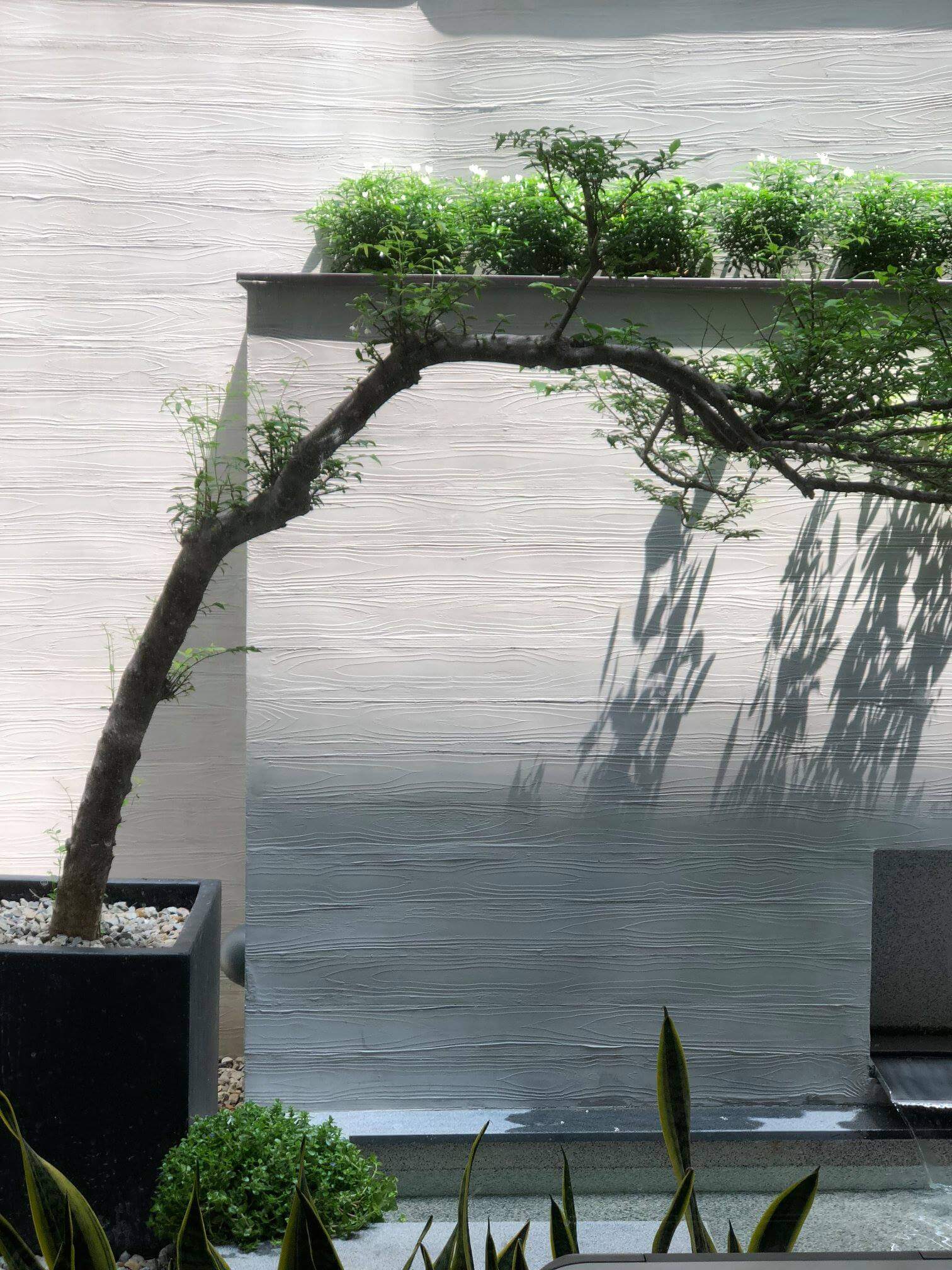 L&T Design 長禾設計