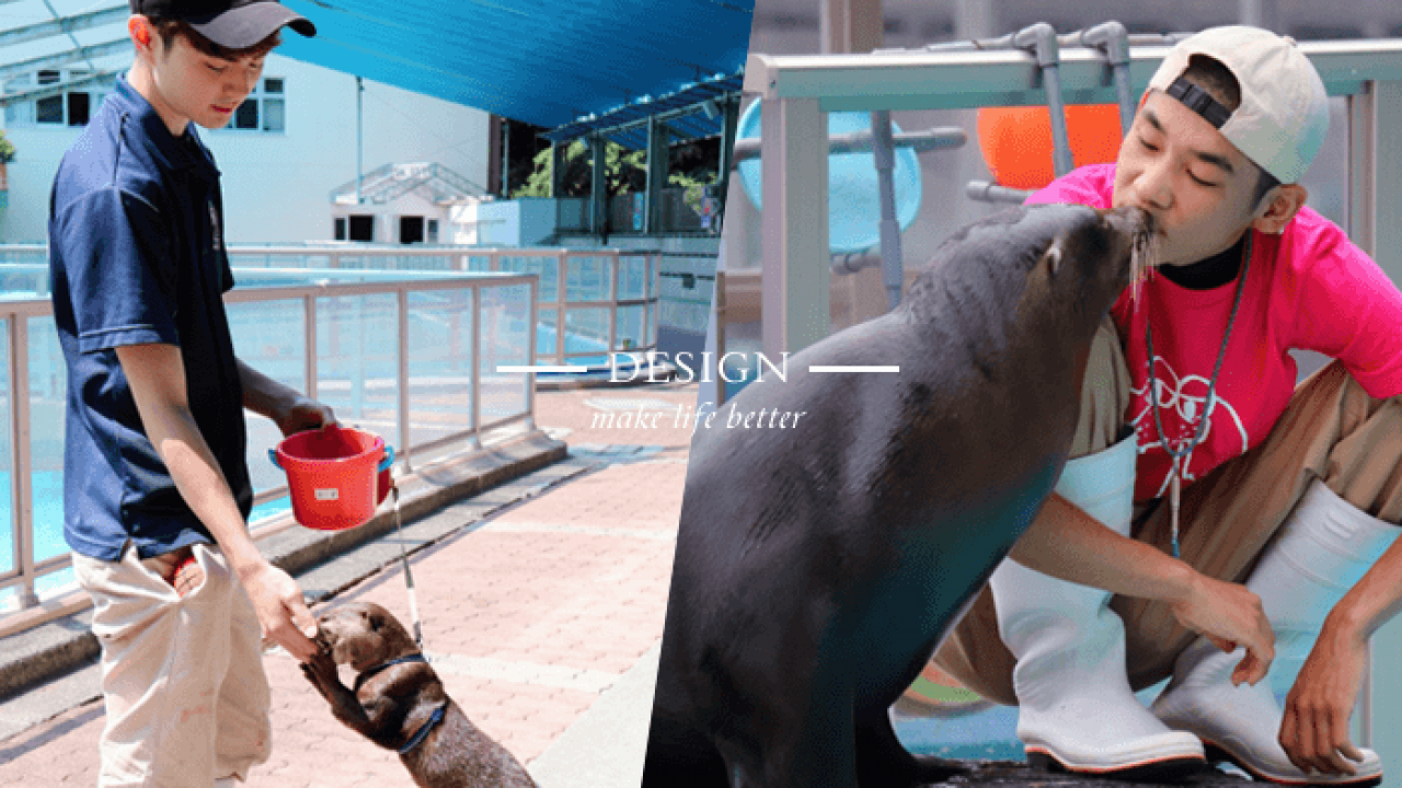 可愛動物vs飼育員 日本水族館推飼育員側寫 兩個都好療癒人心阿